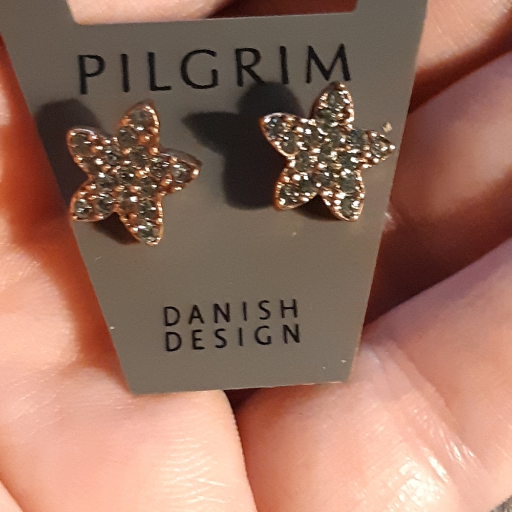 NWT Blue Topaz Star Earrings!